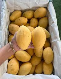 Thai Su Su Mango
