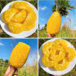 Huay Noon (Thai Honey Pineapple )