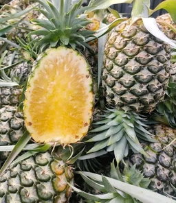 Huay Noon (Thai Honey Pineapple )