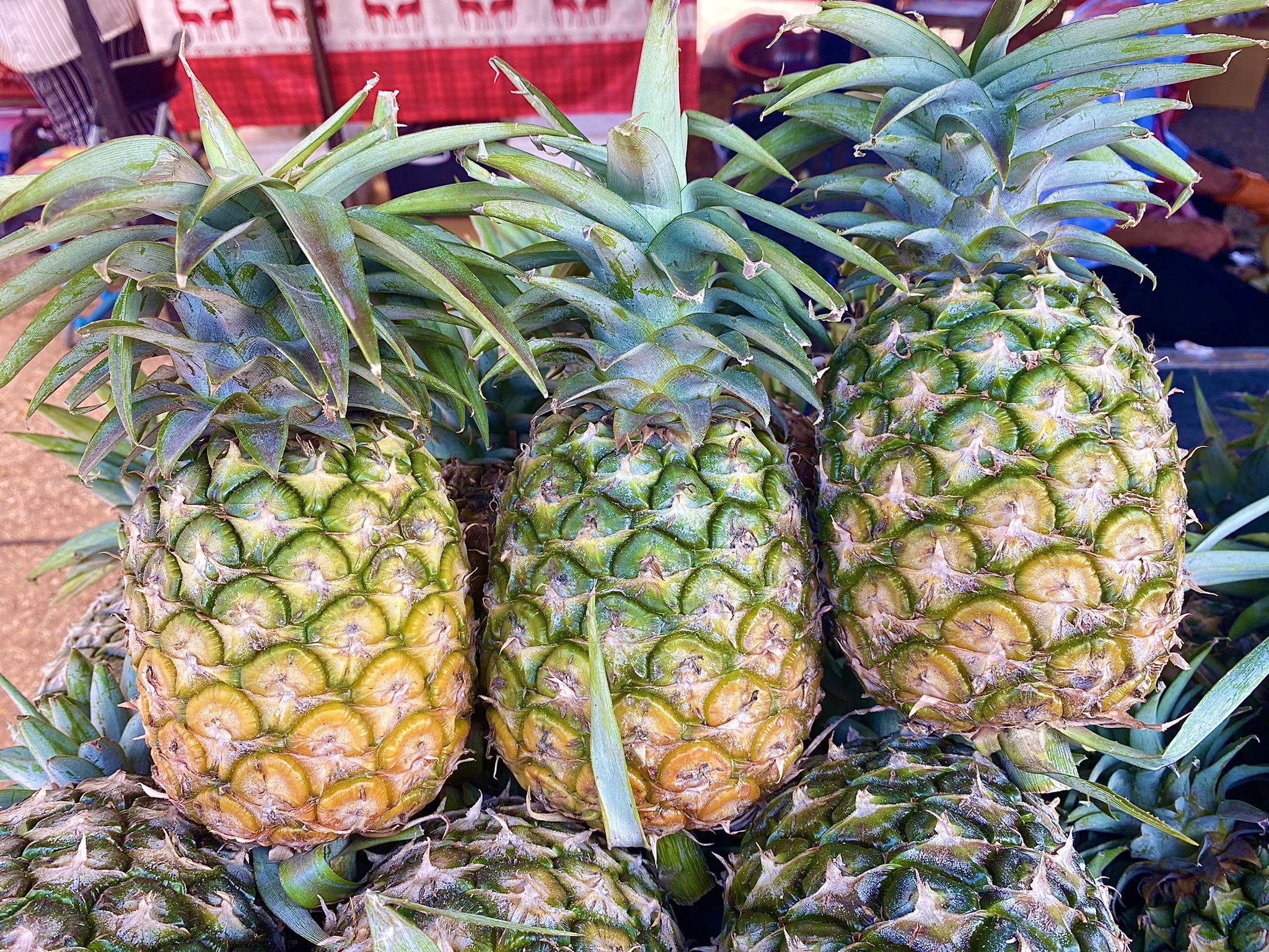 Huay Noon (Thai Honey Pineapple )_2
