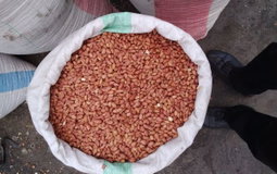 Dry Groundnuts/Meda