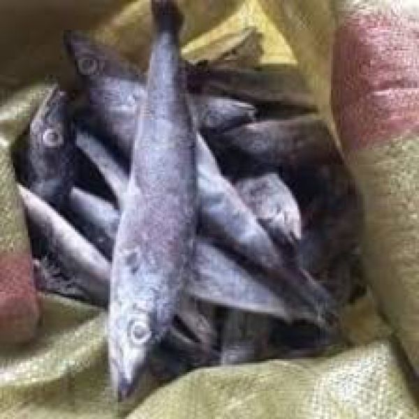 Fresh Buka Buka/Kg