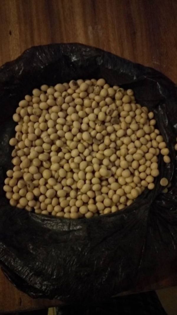 GradeA Soybeans/Kg_0