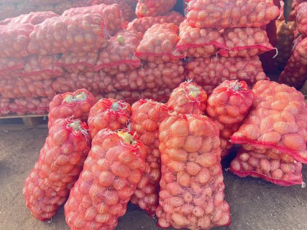 White Onion/12Kg Potche