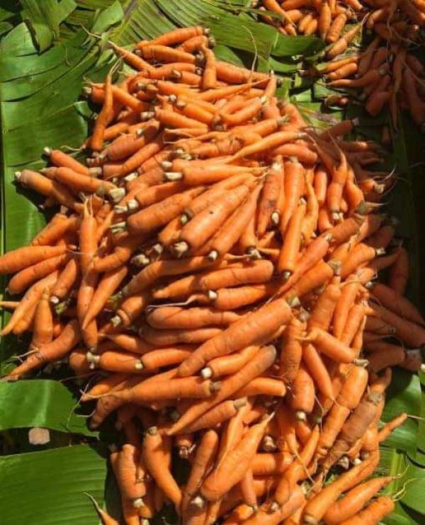 Carrots/Kg