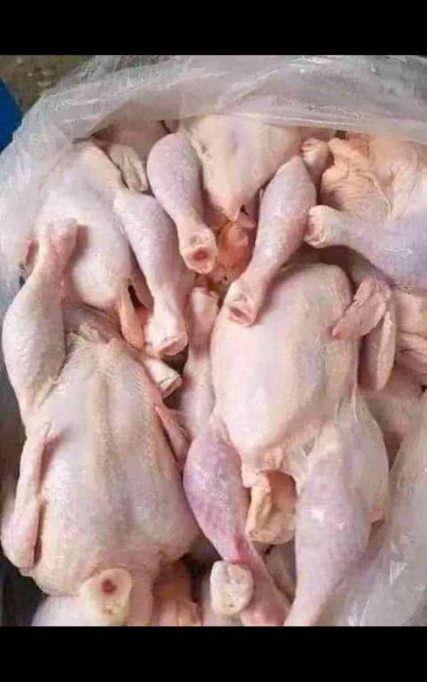 Broiler dressed chickens/Each_0