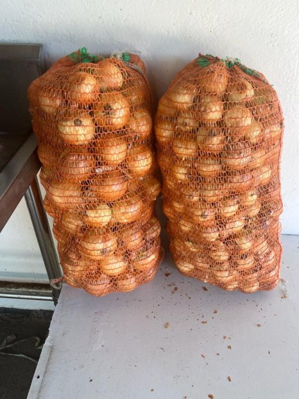 White Onion/10Kg bag_0