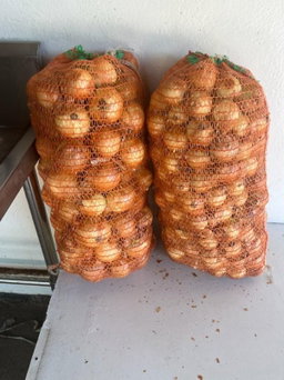 White Onion/10Kg bag