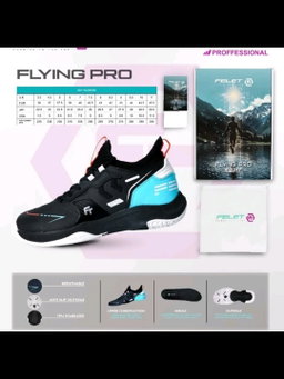 Felet FLYING PRO V2