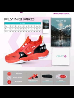 Felet FLYING PRO V2