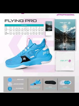 Felet FLYING PRO V2