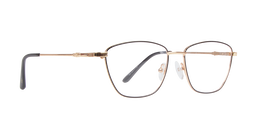 DJ |61 |Full Rim |Metal |GOLD-Metal |52-17-138