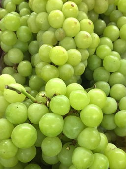 ទំពាំងបាយជូរខៀវ