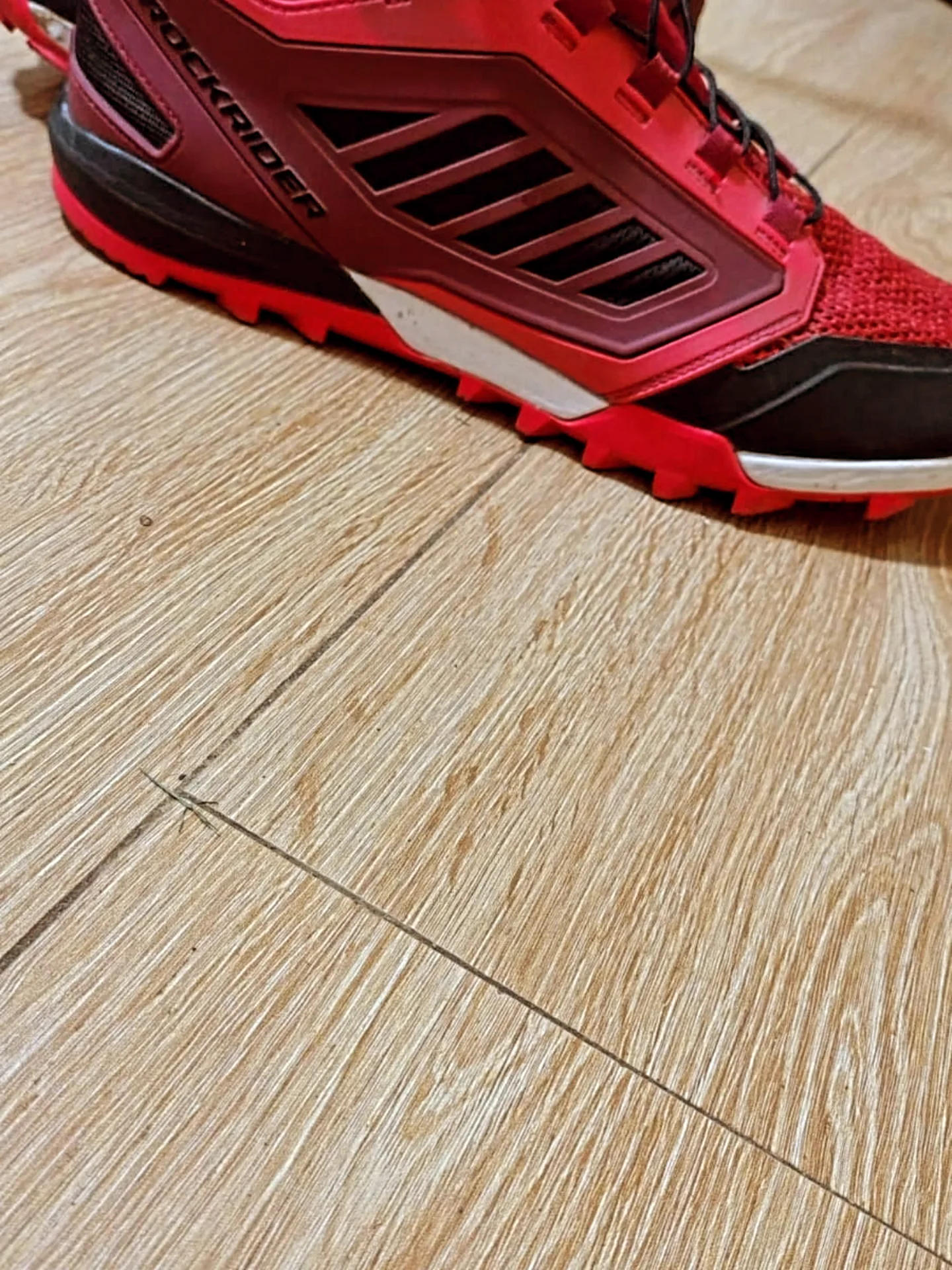 Rockrider Cycling Shoes (Size 45)_2