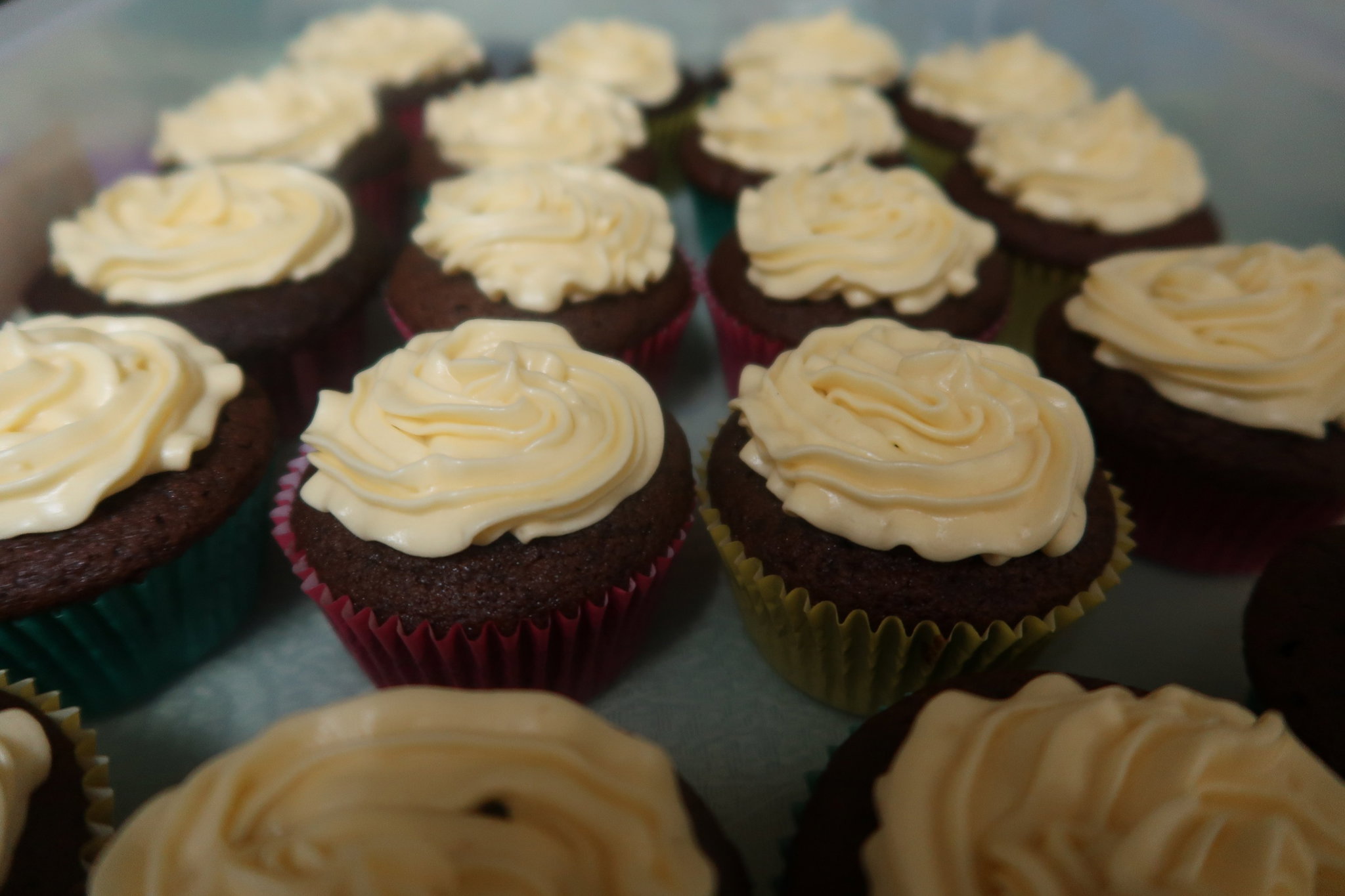 Chocolate Cupcakes_0