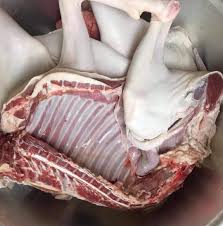 សាច់ពពែ