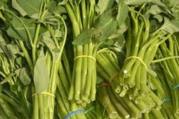 ត្រកួន