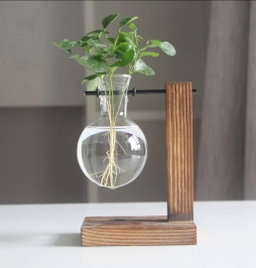 Single Wooden Hydroponic Plant Holder (Customise The Plants You Desire 🪴🌵)