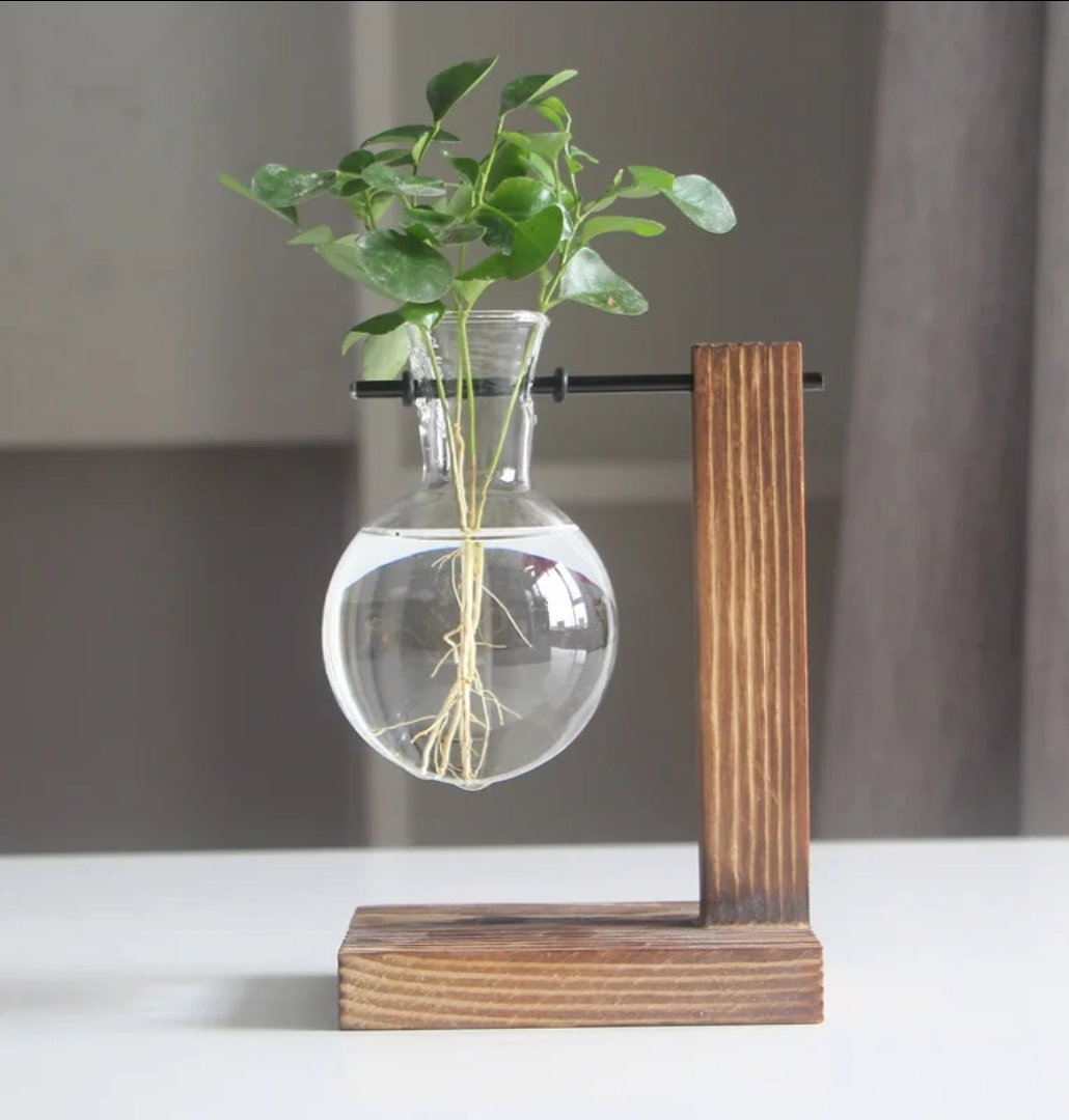 Single Wooden Hydroponic Plant Holder (Customise The Plants You Desire 🪴🌵)