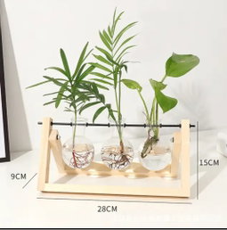 Triple Wooden Hydroponic Plant Holder 🌿 (Customise The Plants You Desire 🪴🌱)