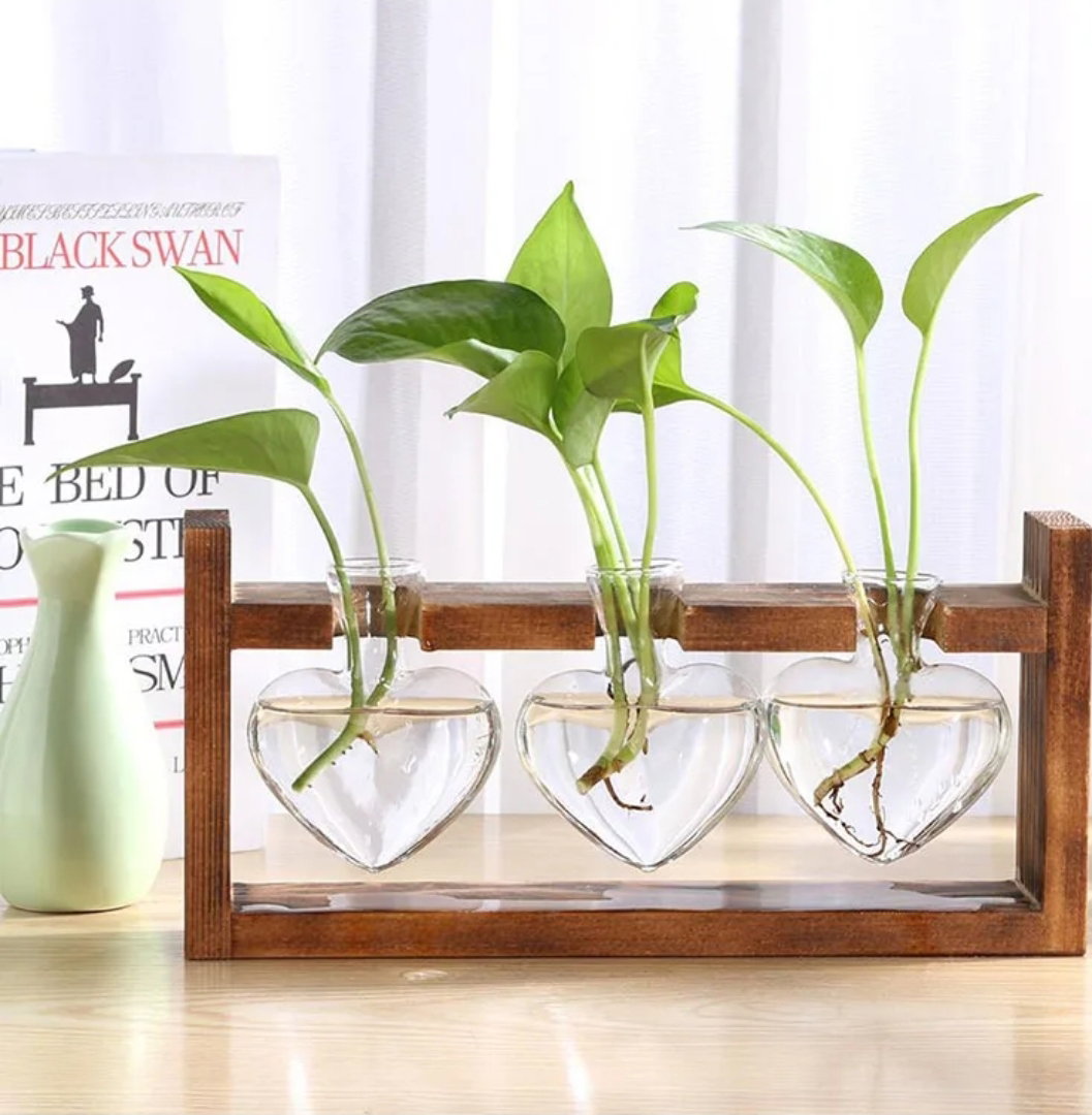 Triple Wooden Hydroponic Heart Plant Holder (Customise The Plants You Desire 🪴🌵)_0