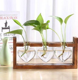 Triple Wooden Hydroponic Heart Plant Holder (Customise The Plants You Desire 🪴🌵)