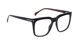 TF101160 |Full Rim |Acetate |53-20-140 |Elite