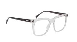 TF101160 |Full Rim |Acetate |53-20-140 |Elite