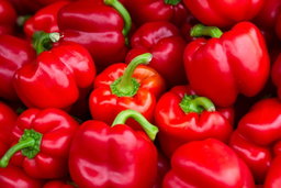 Légumes de Saison