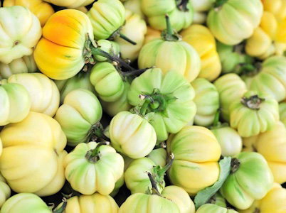 Aubergine Amère (500g)