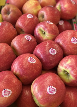 Pomme Pink Lady (kg)