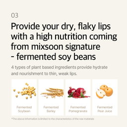 Mixsoon Natural Bean Lip Mask Balm