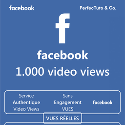 video views [FACEBOOK]