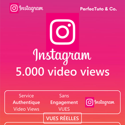 video views [INSTAGRAM]