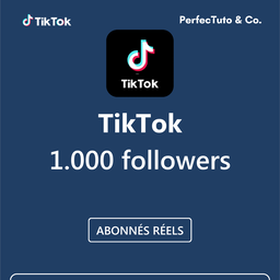 profil/page followers [TIKTOK]