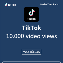 video views [TIKTOK]