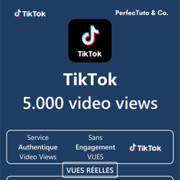 video views [TIKTOK]