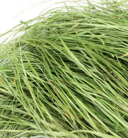 1 For 1 Bundle & Value Pack! Premium Orchard Hay For Rabbits & Small Animals (35g + 35g & 140g)_2