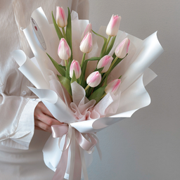 Haru Tulips