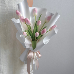 Haru Tulips