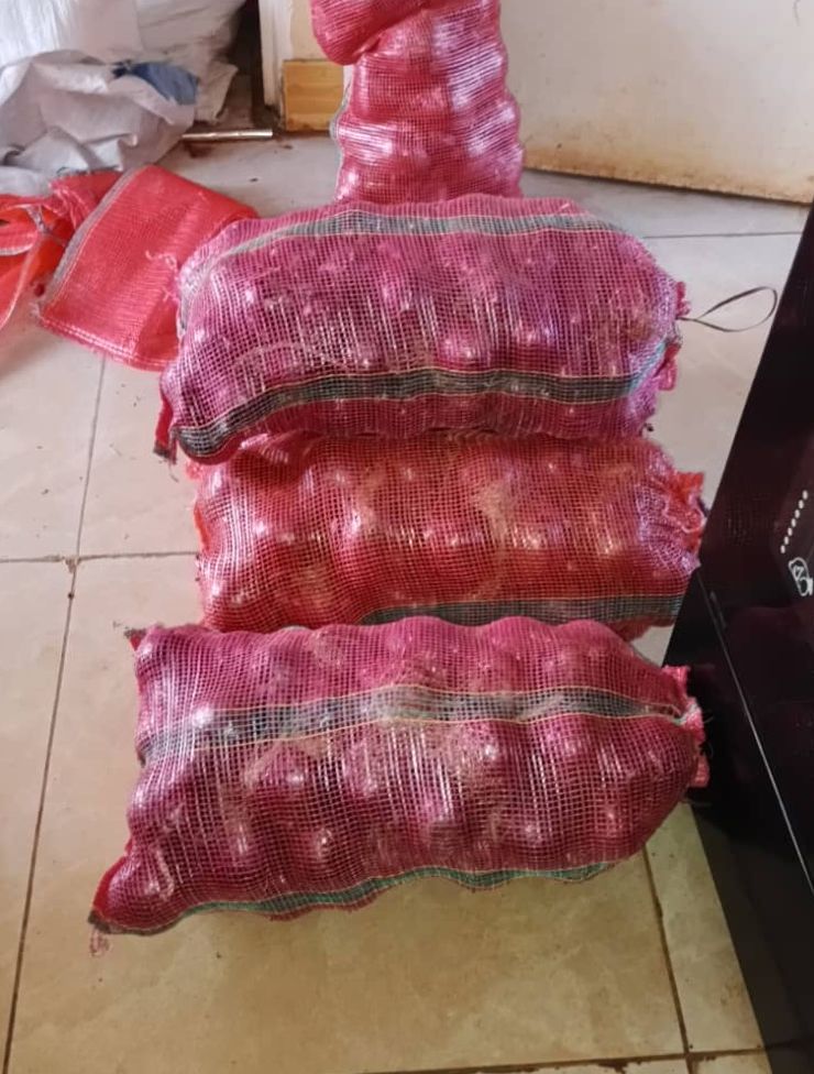 Red Onion/12Kg_0