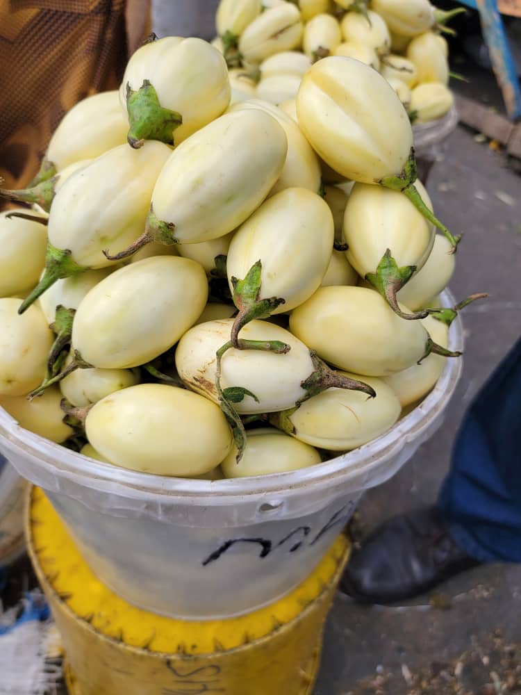 Local Eggs Plant/Meda _0