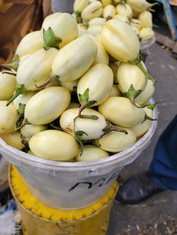 Local Eggs Plant/Meda 