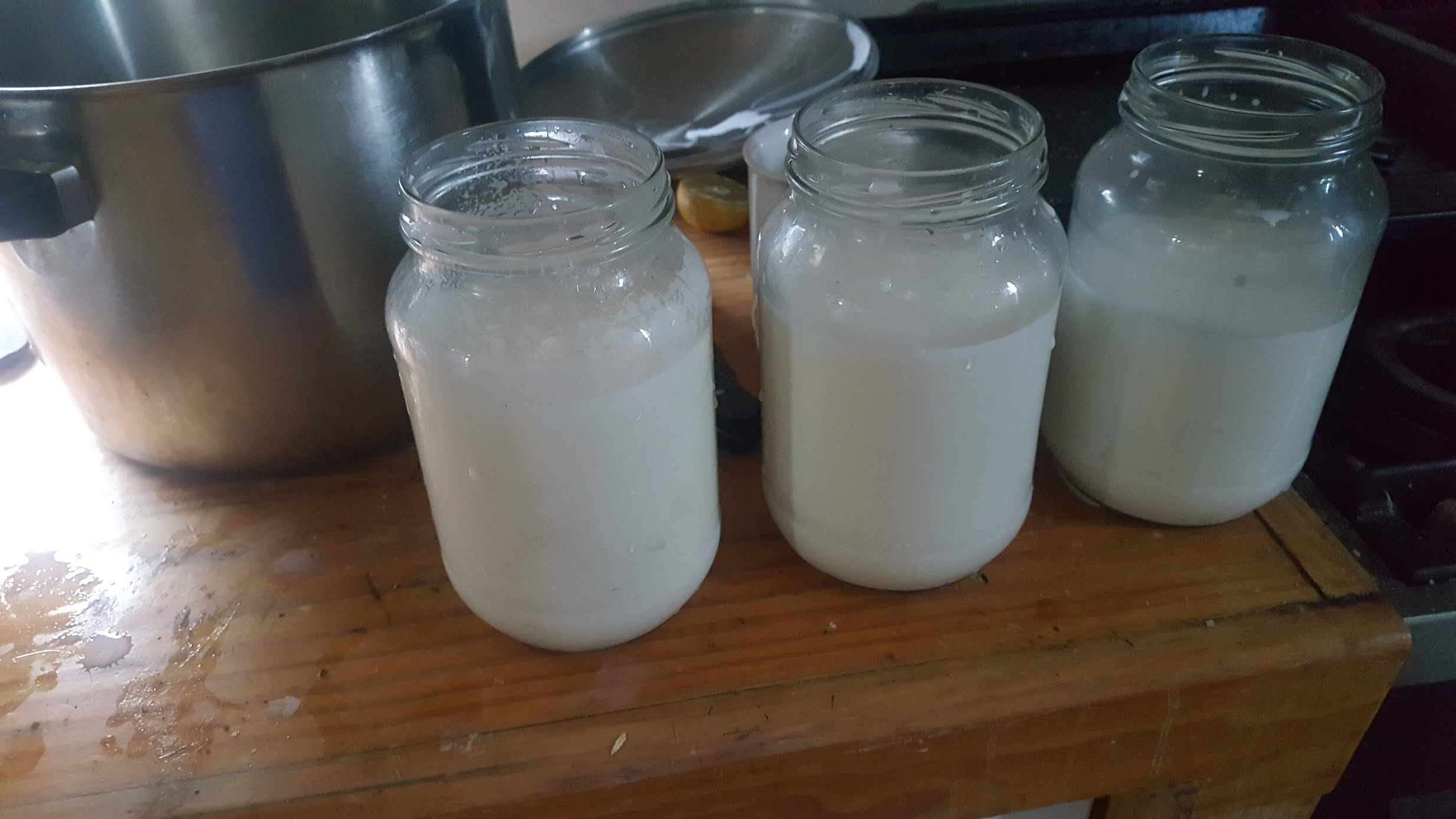 Raw Goat's Milk (for pets)- Frozen in glass.