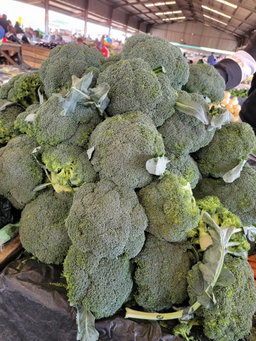 Broccoli/Kg