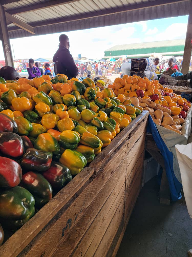 Yellow pepper/Kg