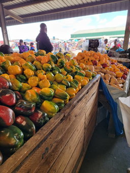 Yellow pepper/Kg