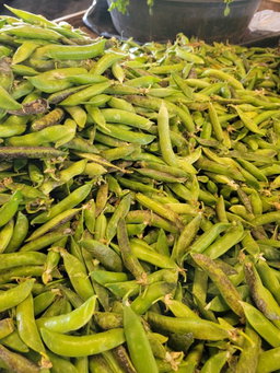 Green Peas/Kg 