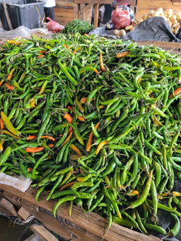 Green Chilli/Kg