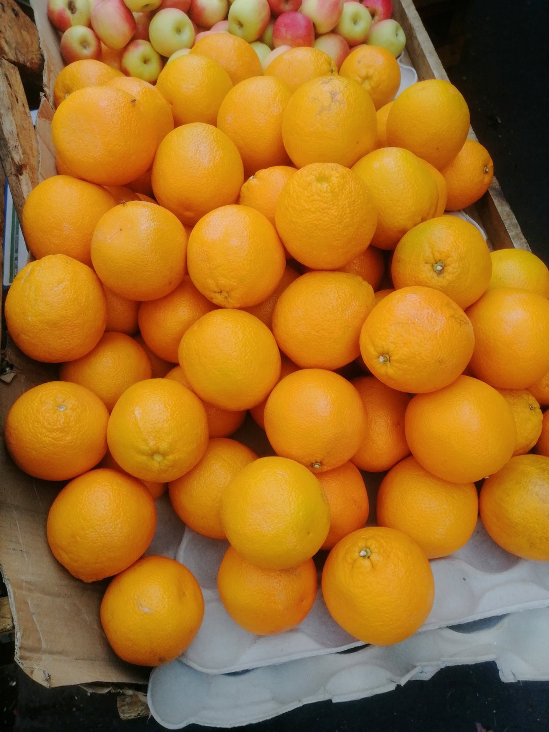 Oranges/Each 